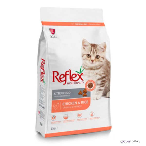 Reflex Kitten Chicken ۲