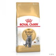 Royal Canin British Adult 1