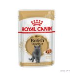 Royal Canin British Salsa