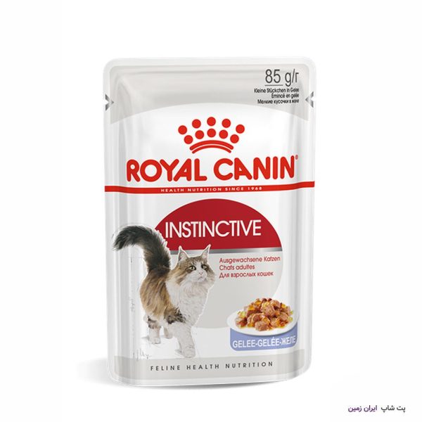 Royal Canin FHN Instinctive Cat Jelly