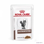 Royal Canin Gastrointenstinal Gravy 1