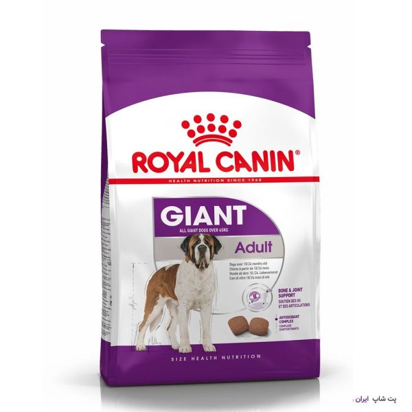 Royal Canin Giant Adult 2