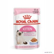 Royal Canin kitten jelly wet