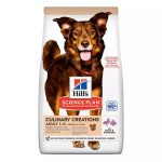 غذای خشک سگ هیلز کولیناری مدیوم ادالت Hill’s Culinary Creations Medium Adult