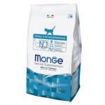 غذای خشک بچه گربه مونژه سوپر پرمیوم Monge Natural Super Premium Kitten