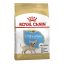 غذای خشک سگ شیواوا پاپی رویال کنین Royal Canin Chihuahua Puppy